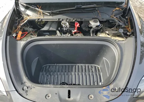 2024 Tesla Model Y из США, поврежденный, VIN 7SAYGDEF4RF040425